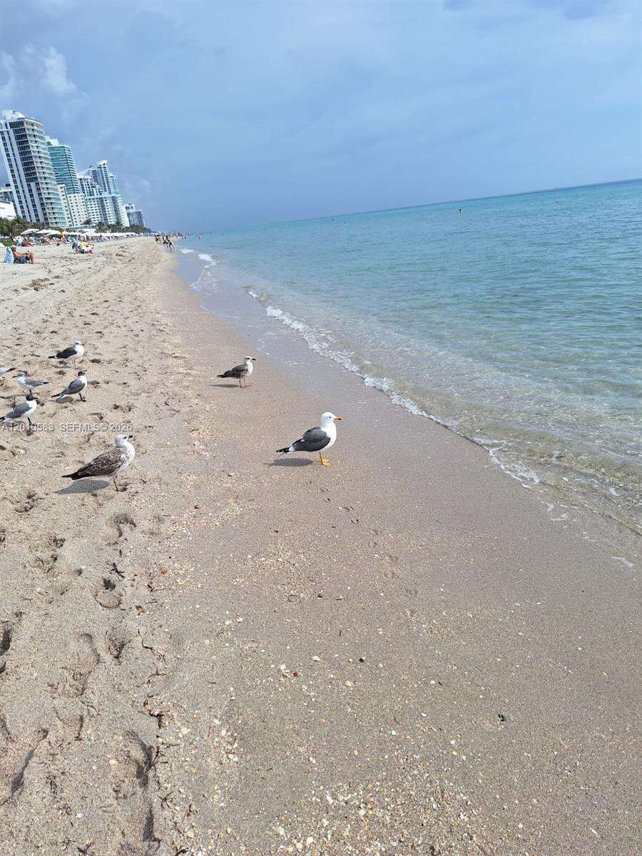 Parker Plaza at 2030 Ocean Dr, Hallandale Beach, FL 33009 - For Sale photo 19