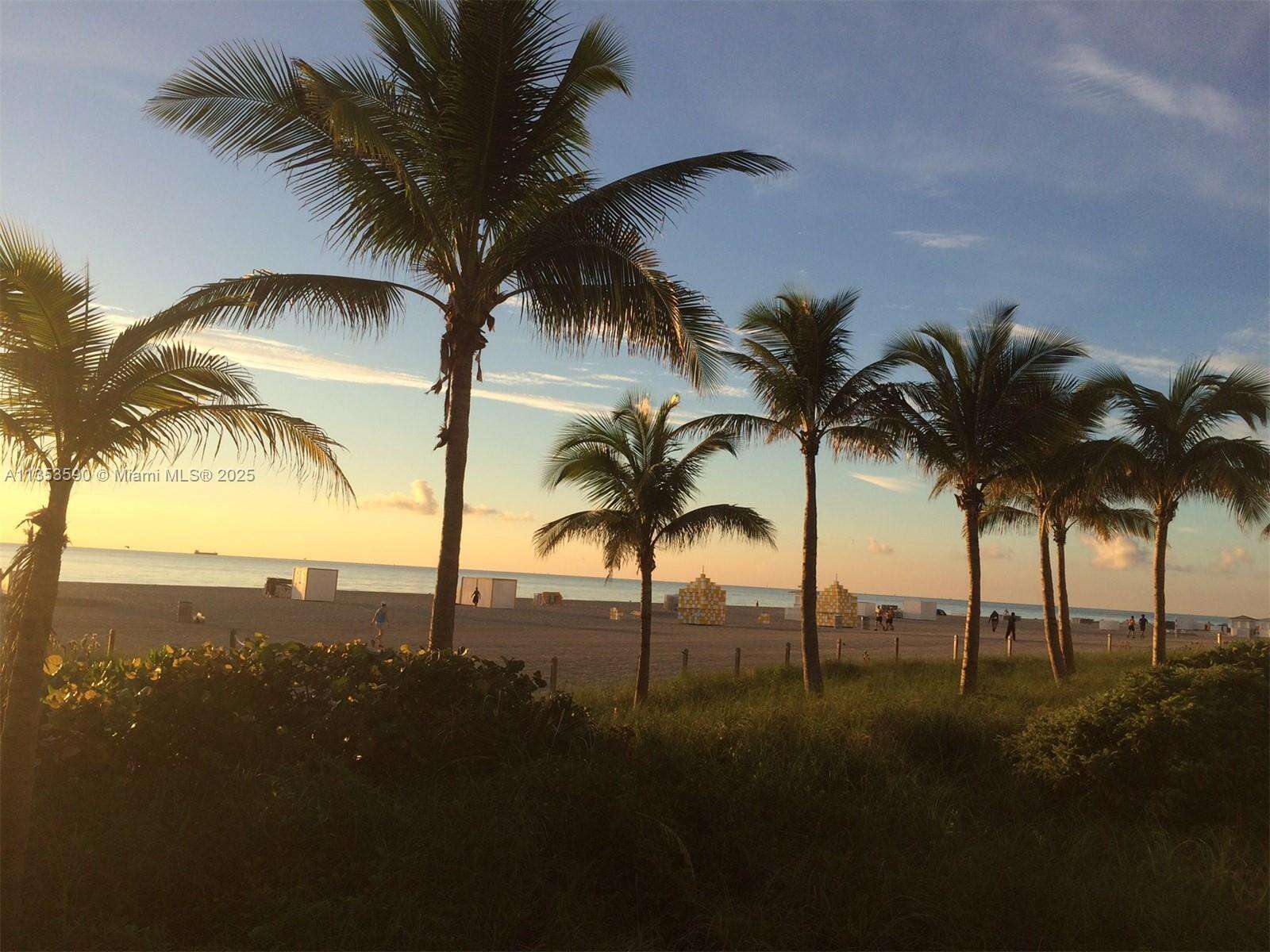 Decoplage at 100 Lincoln Rd, Miami Beach, FL 33139 - For Rent photo 80