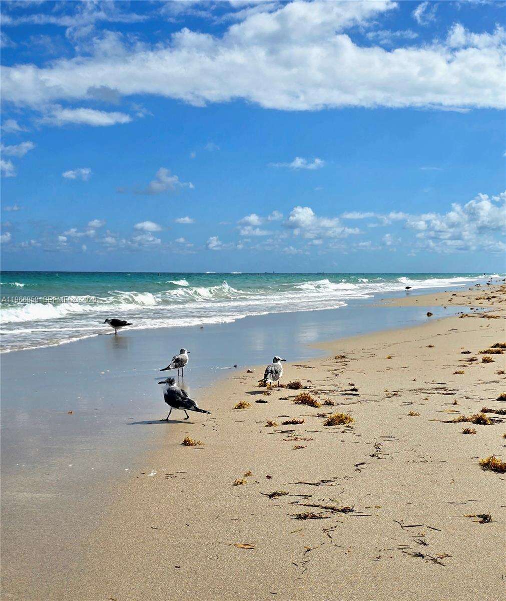 The Tiffany at 10175 Collins Ave, Bal Harbour, FL 33154 - For Rent photo 16