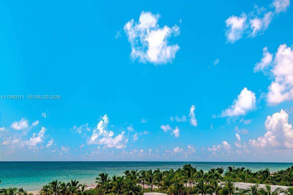 Roney Palace at Miami Beach, FL 33139 - For Rent photo 24