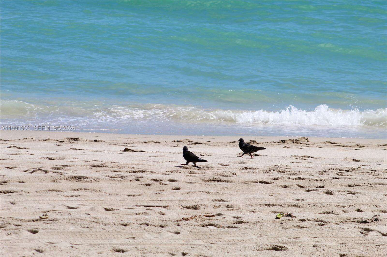 Parker Plaza at 2030 Ocean Dr, Hallandale Beach, FL 33009 - For Rent photo 41