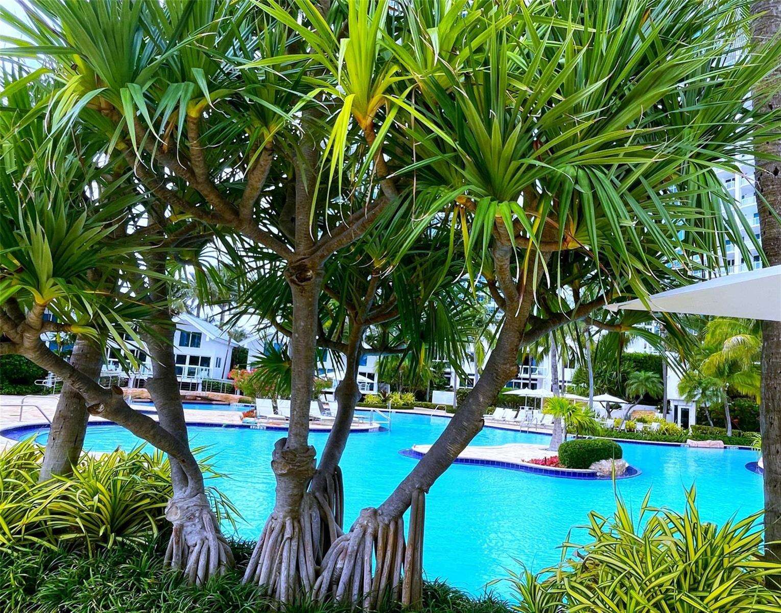 Continuum South Tower at 100 Pointe, Miami Beach, FL 33139 - For Rent photo 22
