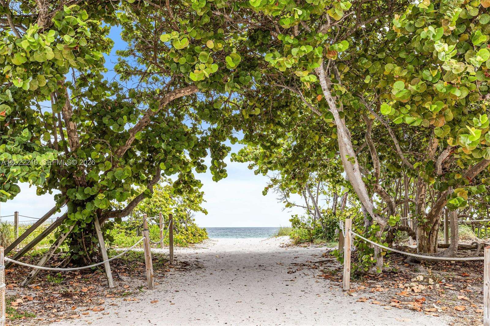 Carlisle On The Ocean at 9195 Collins Ave, Surfside, FL 33154 - For Rent photo 30