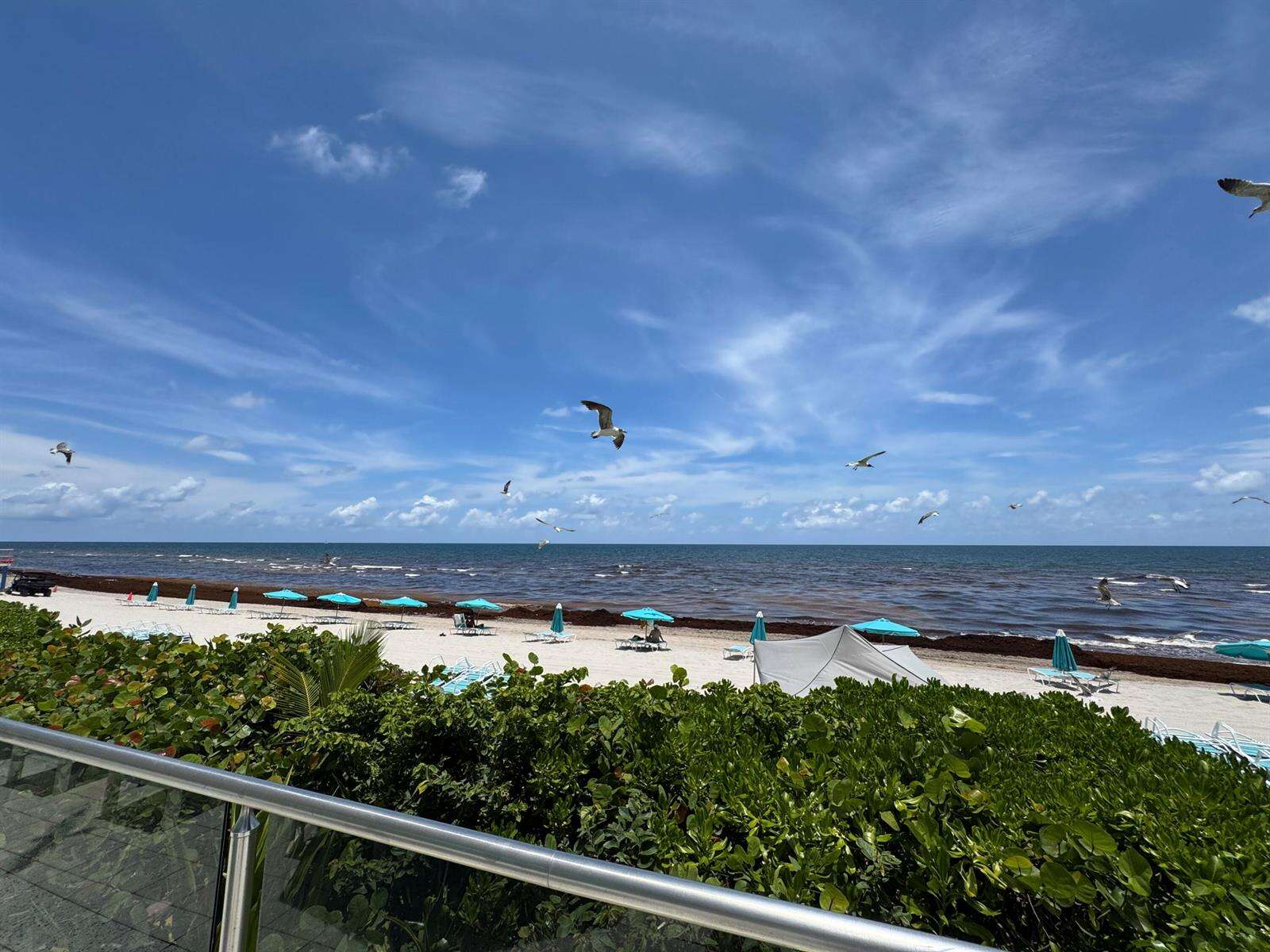 The Wave at 2501 Ocean, Hollywood, FL 33019 - For Rent photo 36