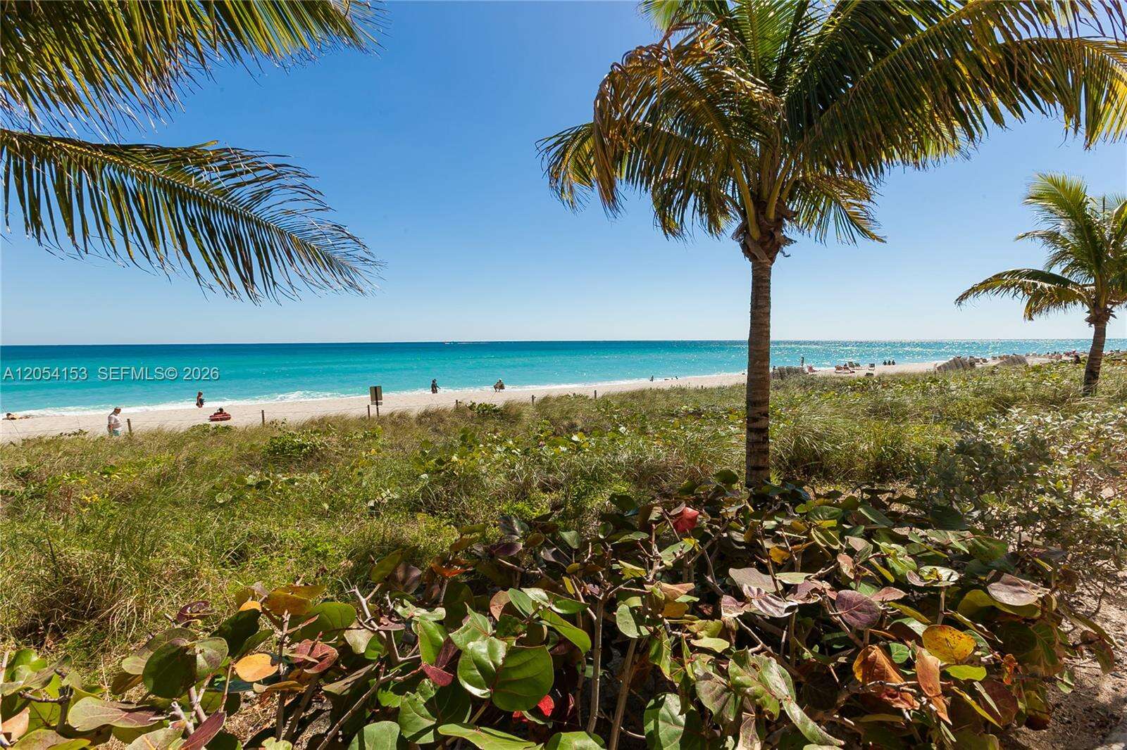 The Beach Club at 1850 Ocean Dr, Hallandale Beach, FL 33009 - For Rent photo 52