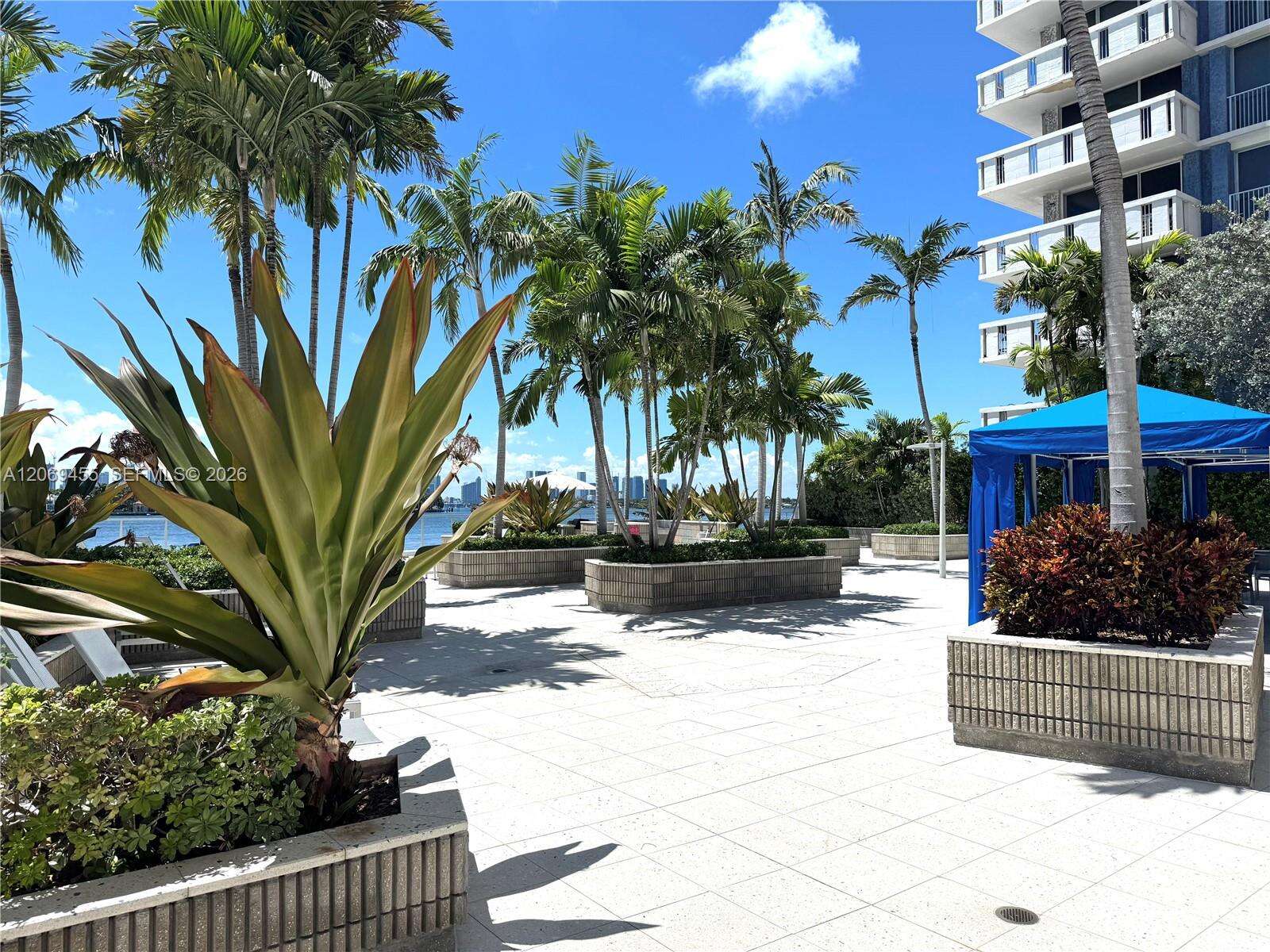 South Bay Club at 800 W Ave, Miami Beach, FL 33139 - For Rent photo 22