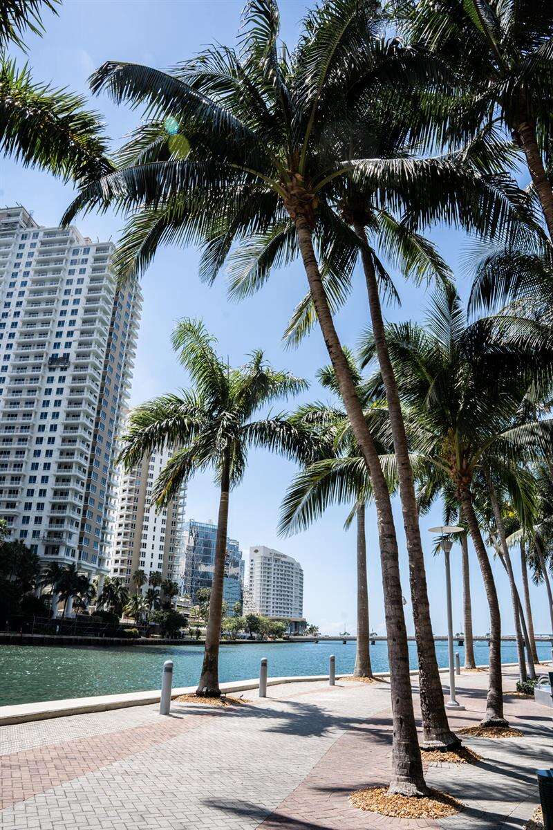 Icon Brickell 1 at 465 Brickell, Miami, FL 33131 - For Rent photo 83