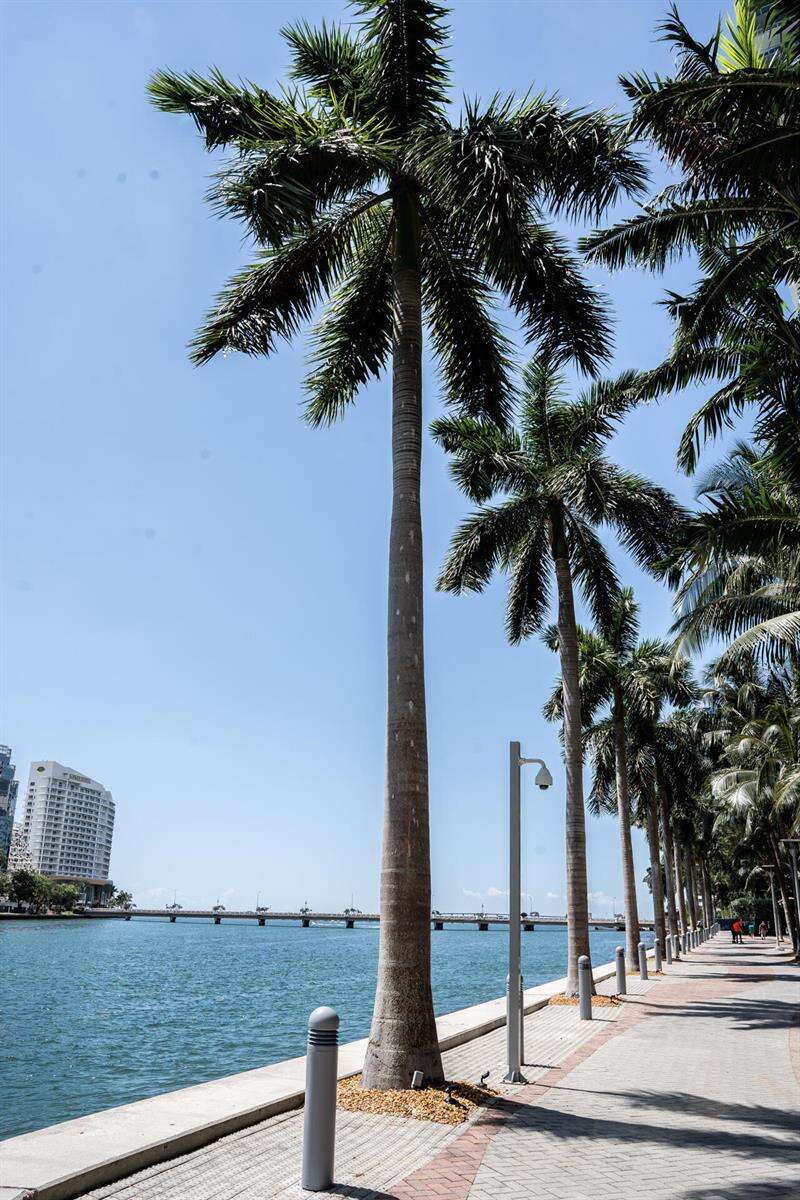 Icon Brickell 1 at 465 Brickell, Miami, FL 33131 - For Rent photo 84