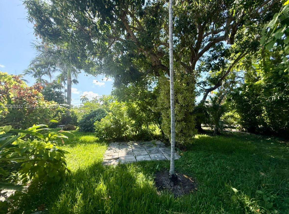 1235 Jefferson St, Hollywood, FL 33019 - For Rent photo 29